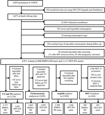 Prevalence and Incidence of Sexually Transmitted Infection in Injectable Progestin Contraception Users in South Africa